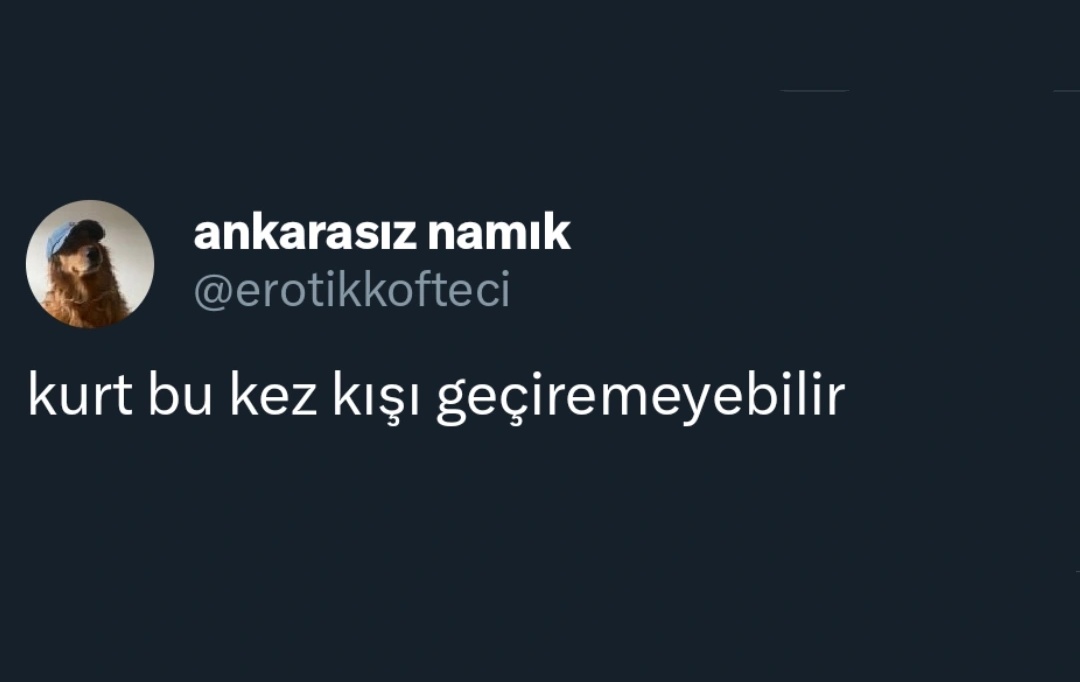 ANLIK (@anlikmod) on Twitter photo 