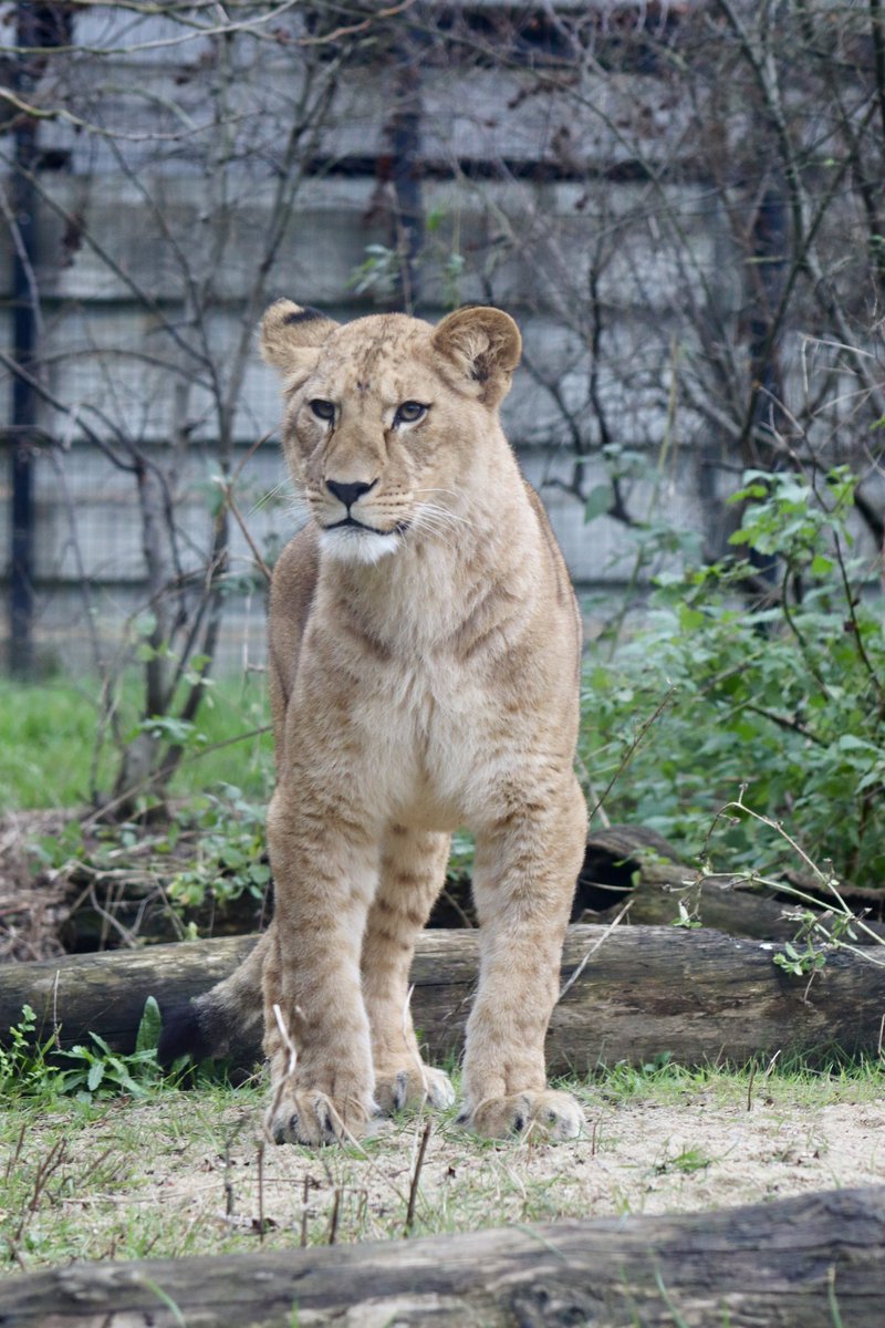de PEYROLLE tweet media