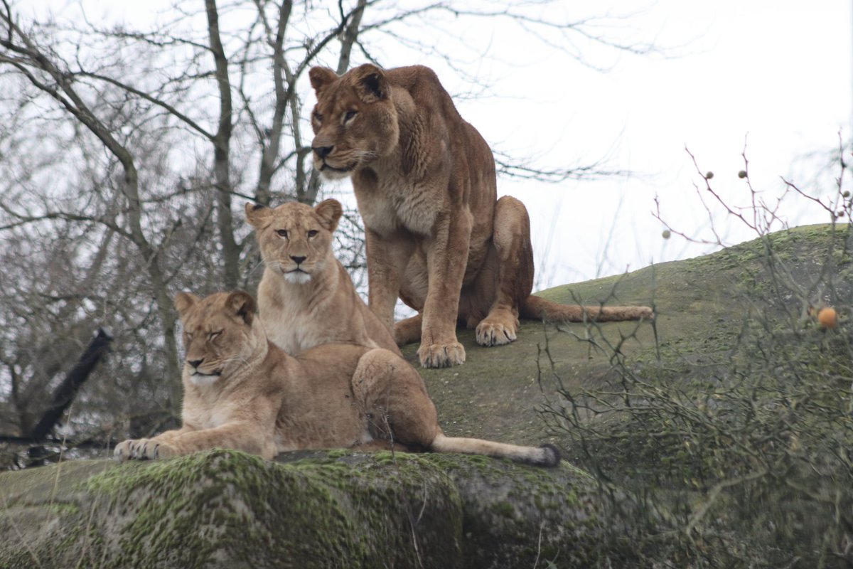de PEYROLLE tweet media