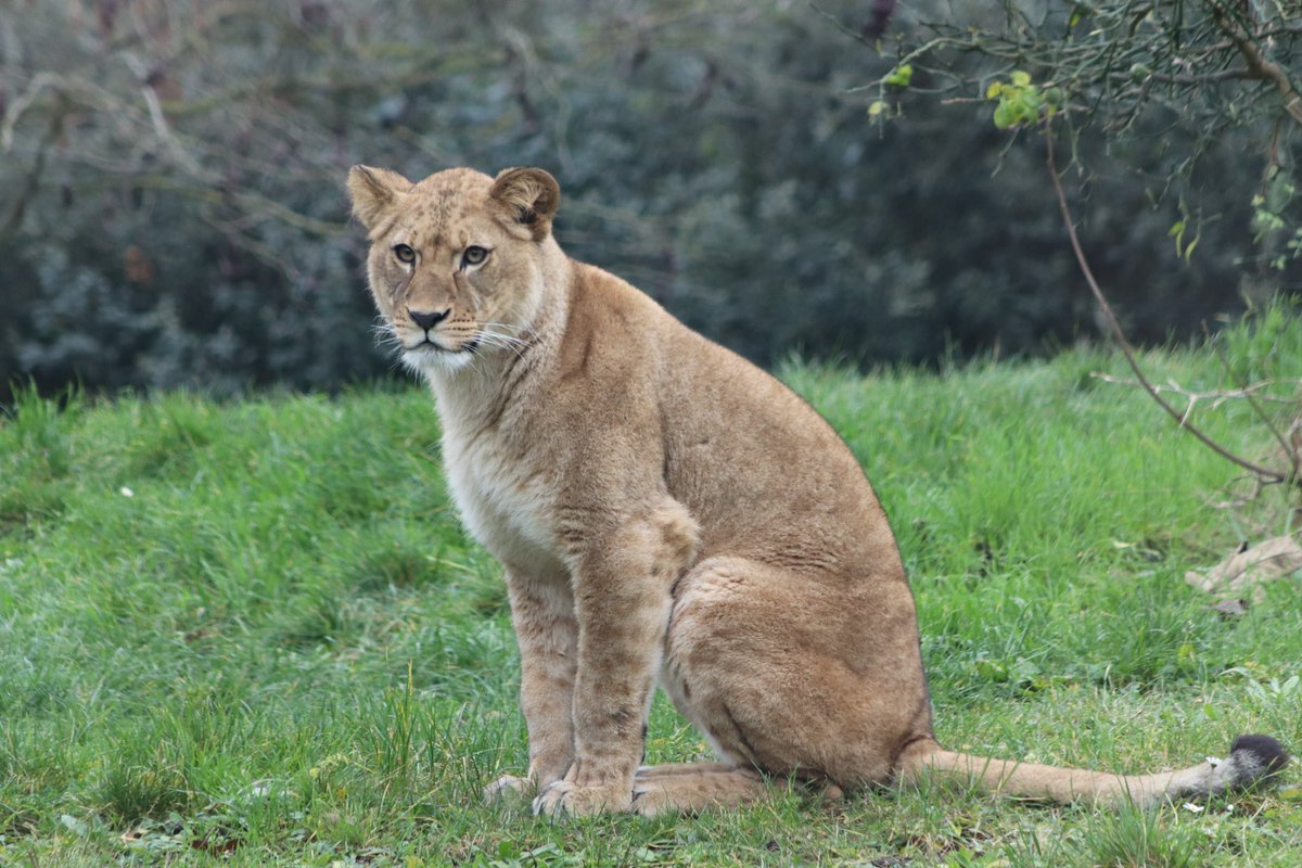 de PEYROLLE tweet media