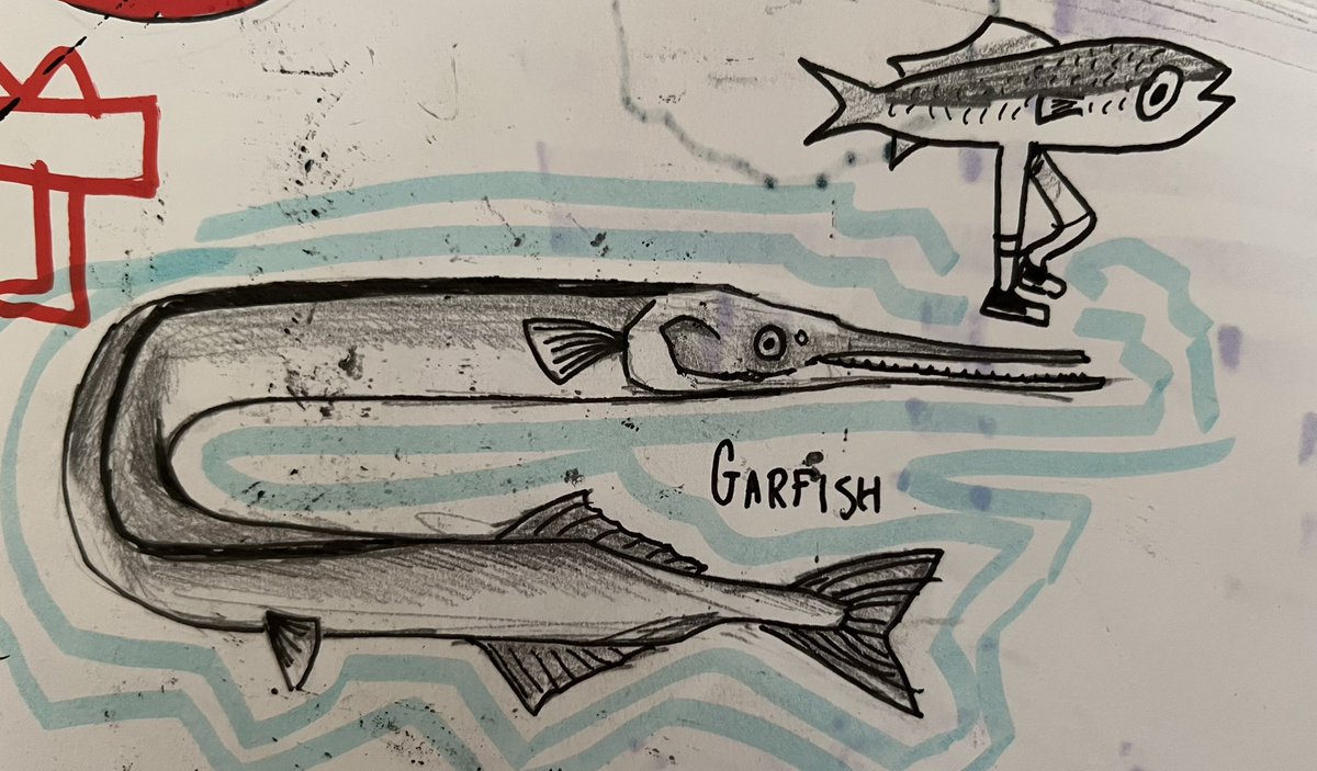 tanger1ng's tweet photo. @OKWildlifeDept here are some of my gars (and bonus sturgeons!!)  happy gar week https://t.co/iyu6VauUKF