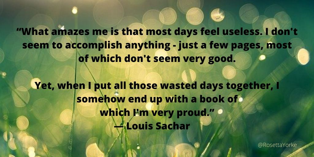 “What amazes me is that most days feel useless. I don't seem to accomplish anything-just a few pages, most of which don't seem very good. Yet, when I put all those wasted days together, I somehow end up with a book of which I'm very proud.”
― Louis Sachar

#turtlewriters 🙂🐢🍀❤️