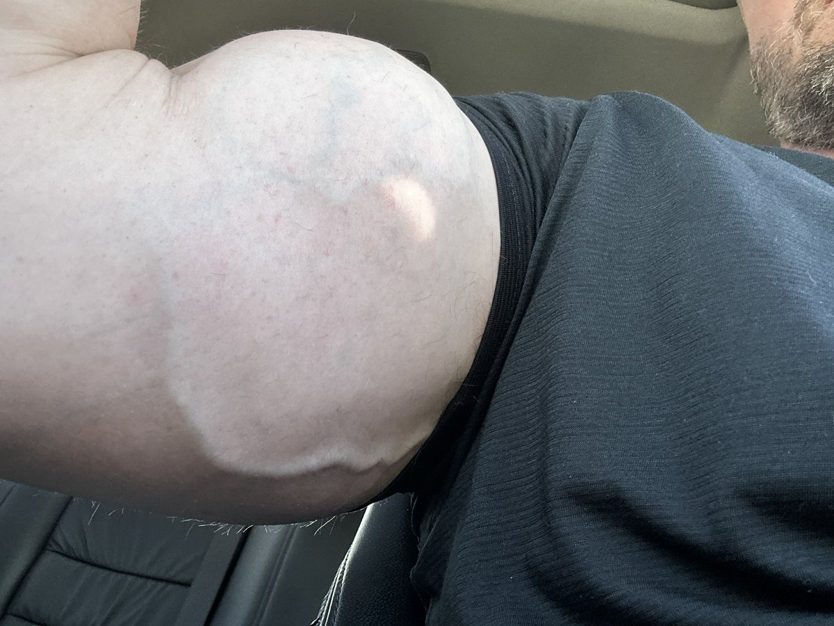 Master Boston tweet media