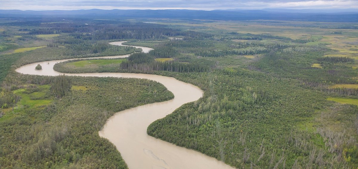 AKDNR_Official's tweet image. 'Tis the season for the final round of 2024 AK land sales! Prices have been lowered for #StateofAlaska lots that didn't sell during the annual auction. Land in Susitna Lake, Copper River Valley, and Mucha Lake are available to purchase @ fair market value:
dnr.alaska.gov/mlw/landsales/…