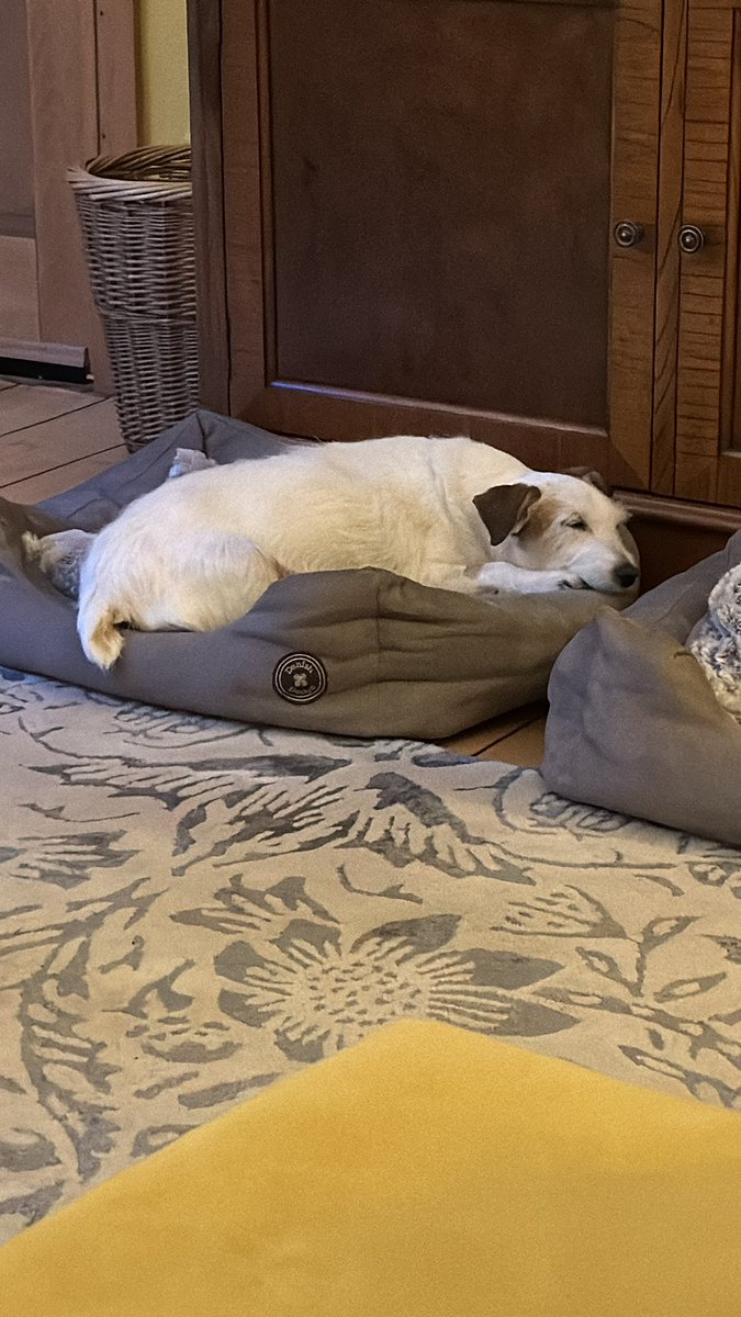 Prof Ian Rivers (he/him) ๐ณ๏ธโ๐๐ช๐บ๐บ๐ฆ (@ian_rivers) on Twitter photo Today we lost Jill. She was nearly 13. We adopted her and her brother, Jack, from <a href="/Battersea_/">Battersea</a> Old Windsor just over 12 years ago. She will be missed terribly. Today we lost Jill. She was nearly 13. We adopted her and her brother, Jack, from <a href="/Battersea_/">Battersea</a> Old Windsor just over 12 years ago. She will be missed terribly.