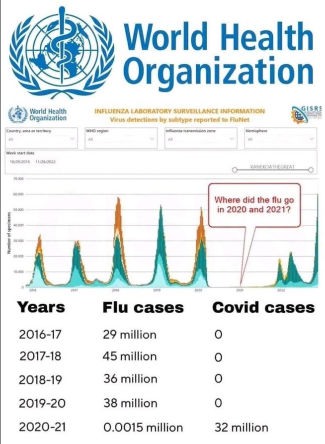 BrianGPowell's tweet photo. ~30 MILLION die EVERY year of #Flu+there was a ZERO % rise in #AllCauseMortality in #2O2O<=>THERE WAS NO #PanDemic!
#NWO #WHO=#MedicalTyranny use illegitimate #PCR
#They called #Flu "#CoVID" during #PlanDemic {See pic}
They'll make make up #DiseaseX~which is now absurd #BirdFlue: https://t.co/zfraKaXwcn