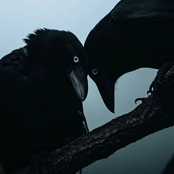 ✞ 🗝️ (@hakaelll) on Twitter photo 