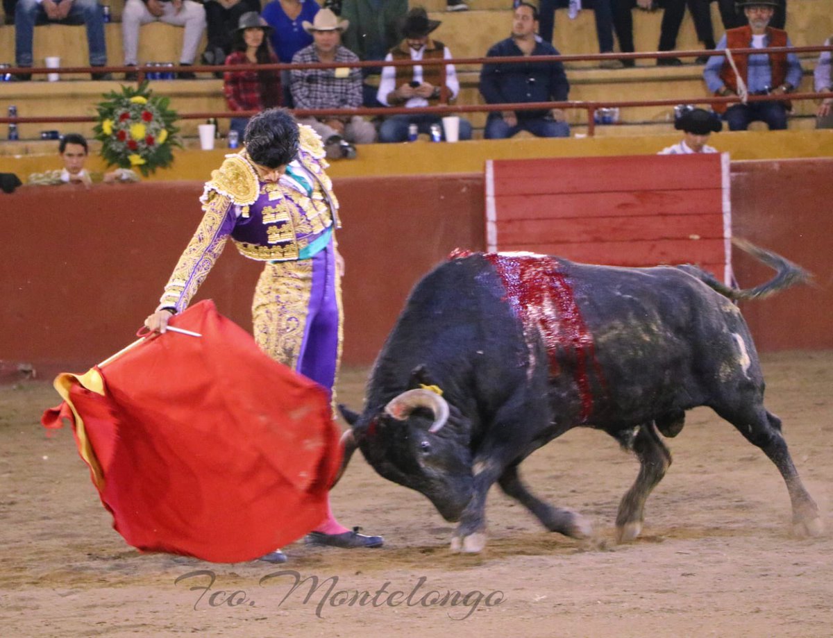 Quien me guía en este vuelo…✡️⏳

📸 - <a href="/ellentedemonte/">FRANCISCO MONTELONGO</a> 
•
•
•
•
•
#vuelo #llegara #depie #volver #fpy