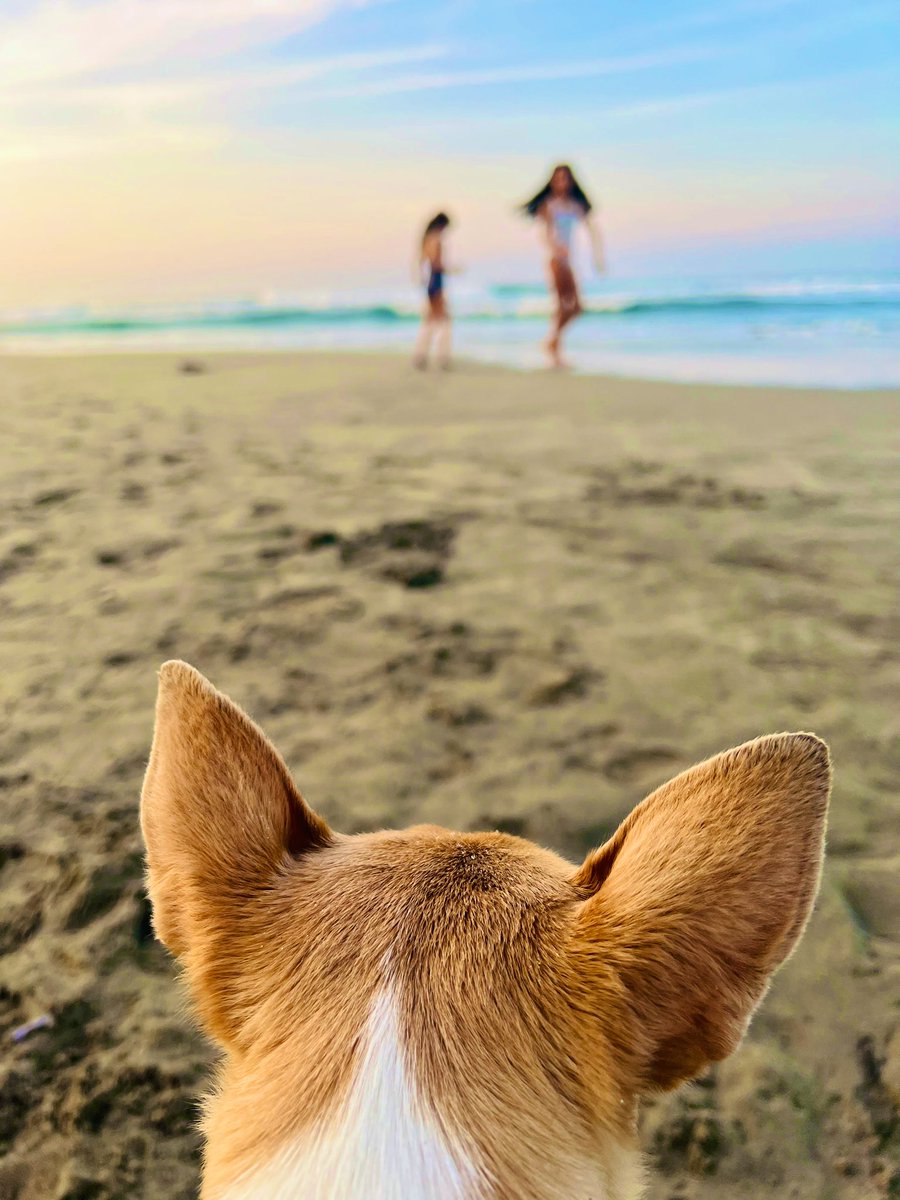 ctrevio1's tweet photo. 🌊🐚🥥 https://t.co/2QIxzqKfno