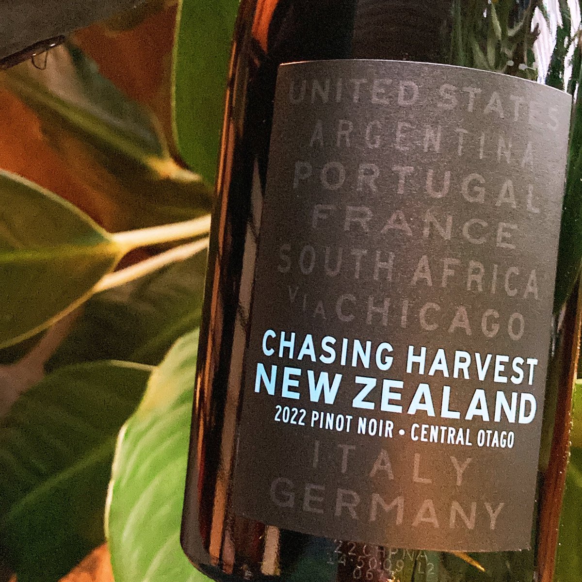 Very special tasting Thursday 5-7pm! Help us welcome back Edgewater’s own <a href="/chasingharvest/">Chasing Harvest</a> and sample their latest vintages!