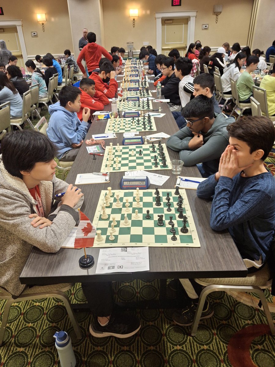 juliorosadochess tweet media