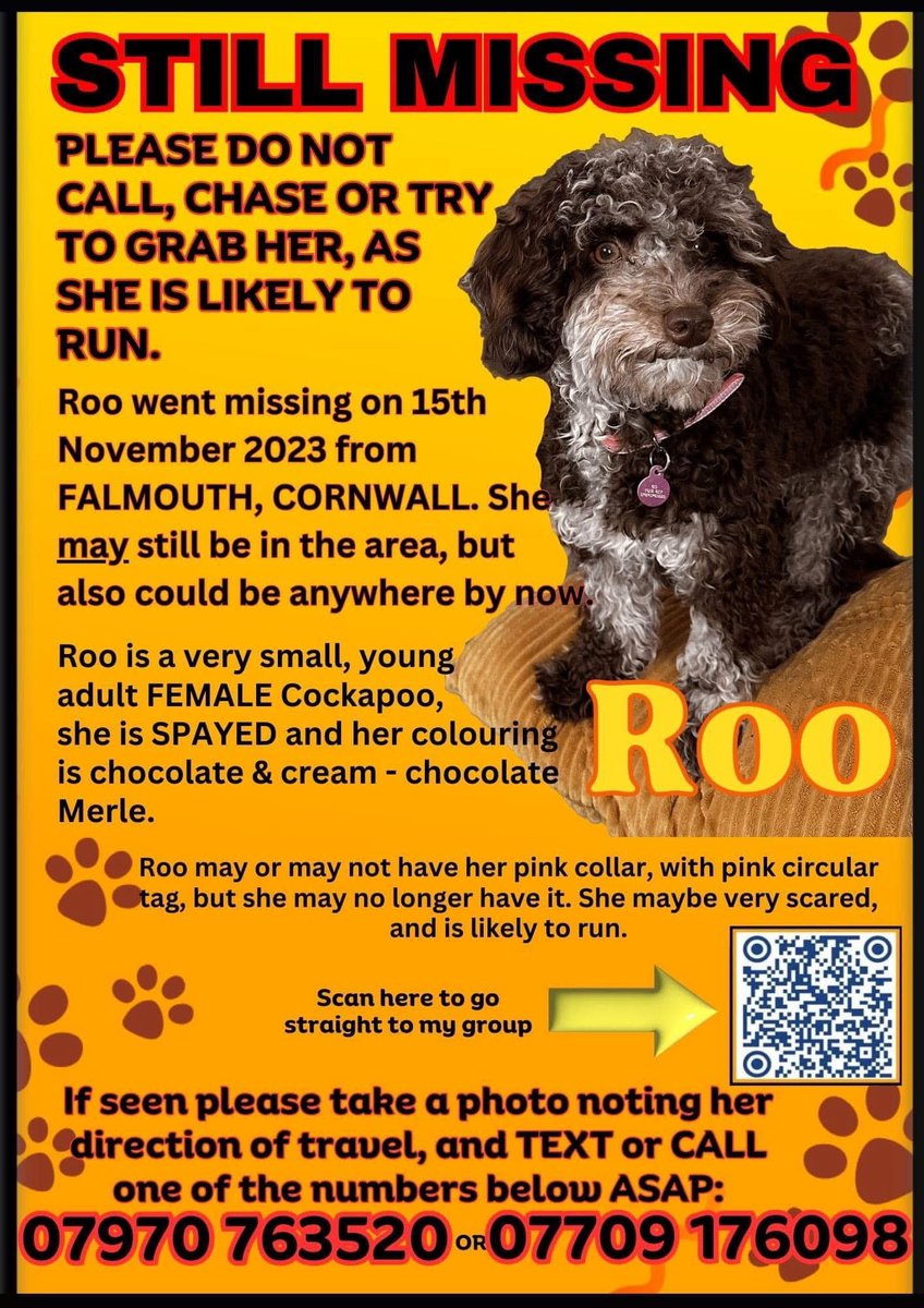 rosieDoc2's tweet image. #SpanielHour 

ROO her mum said bye and left her with a #DogSitter and she went missing NEVER SEEN AGAIN 
In unfamiliar area 15/11/23
#Falmouth #Cornwall 
Very small/very pretty #Cockapoo 

doglost.co.uk/dog-blog.php?d…

@02031961pat @JacquiSaid @BitofDecorum @alid2912 @TeaboyTeddy