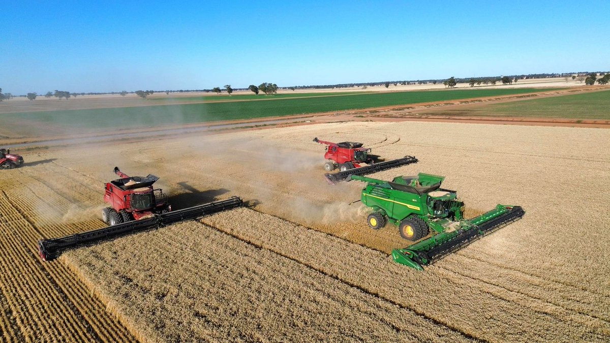 Compare the trio- 2x red headers combined 55% or thereabouts of total hectares for the harvest, X9 45%