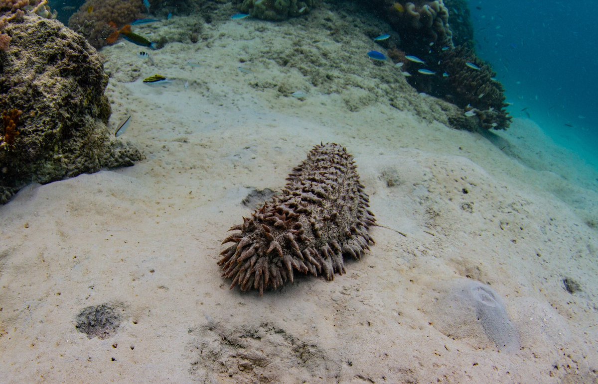 Kristen McSpadden tweet media