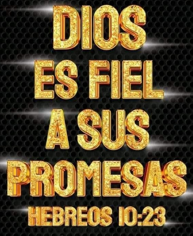 Dominicano Hasta la Tambora tweet media