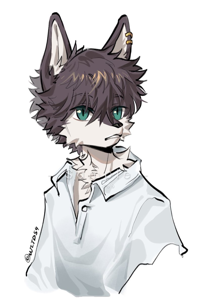 空想白龙 (@witd59) on Twitter photo 