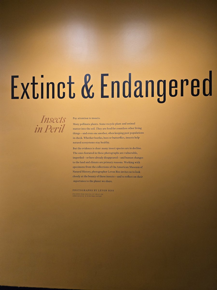 Christina Salters tweet media