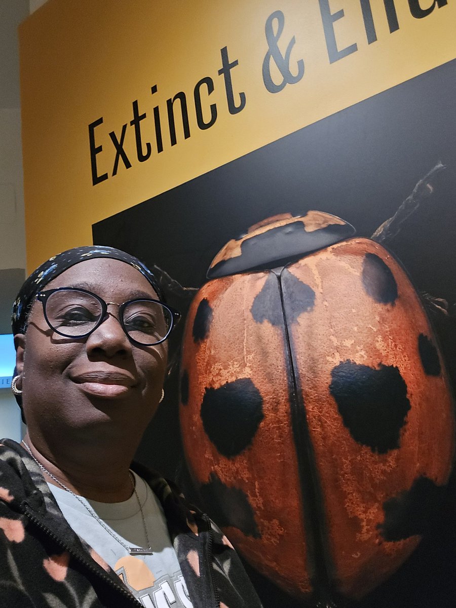 Christina Salters tweet media