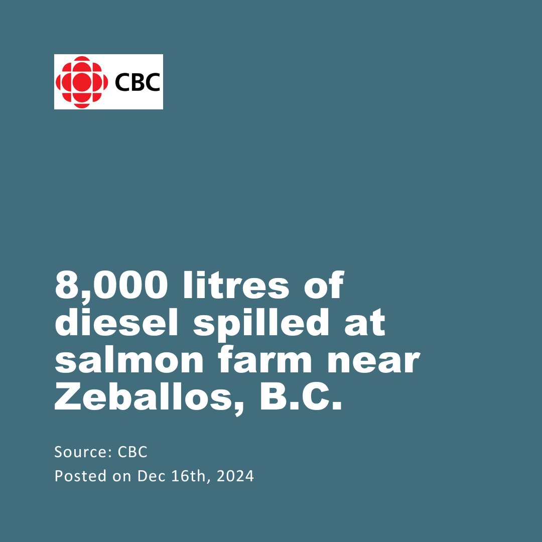 Wild First tweet media