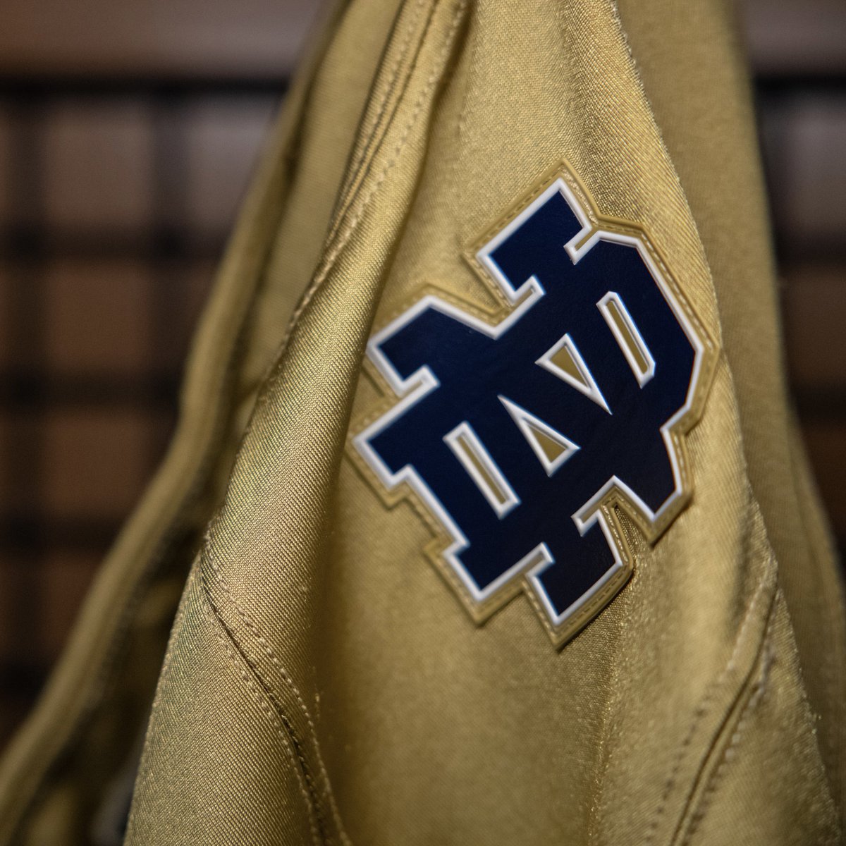 NDFootball's tweet image. Raise her gold and blue 

#GoIrish