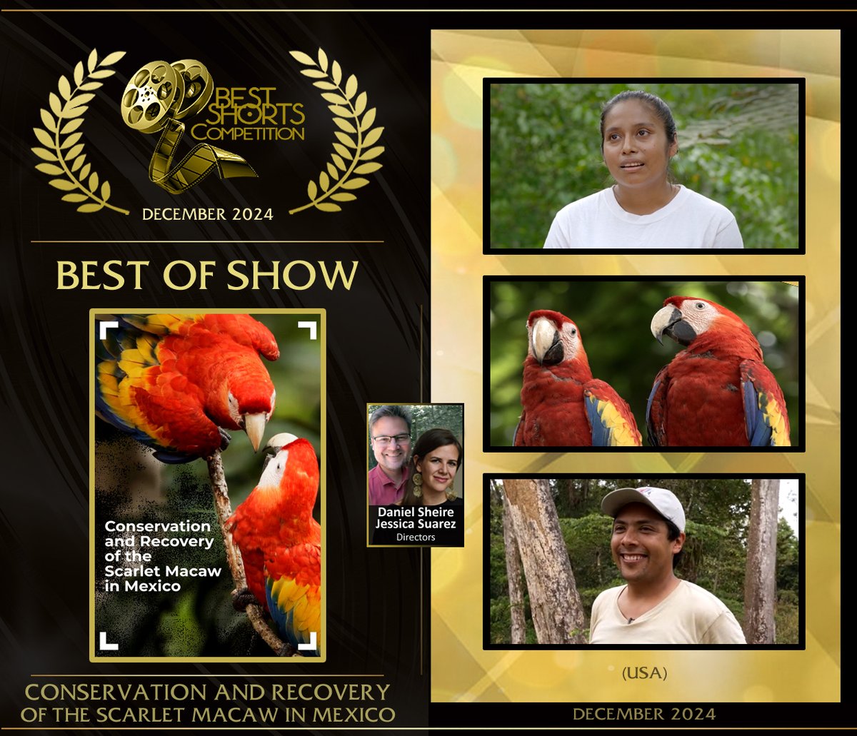 Congrats Best of Show winners Daniel Sheire &amp; Jessica Suarez for “Conservation and Recovery of the Scarlet Macaw in Mexico”! The Emmy-nominee &amp; Nat Geo Explorer craft a compelling film on saving the vibrant macaw, a symbol of Mexico’s vanishing rainforest. BestShorts.net