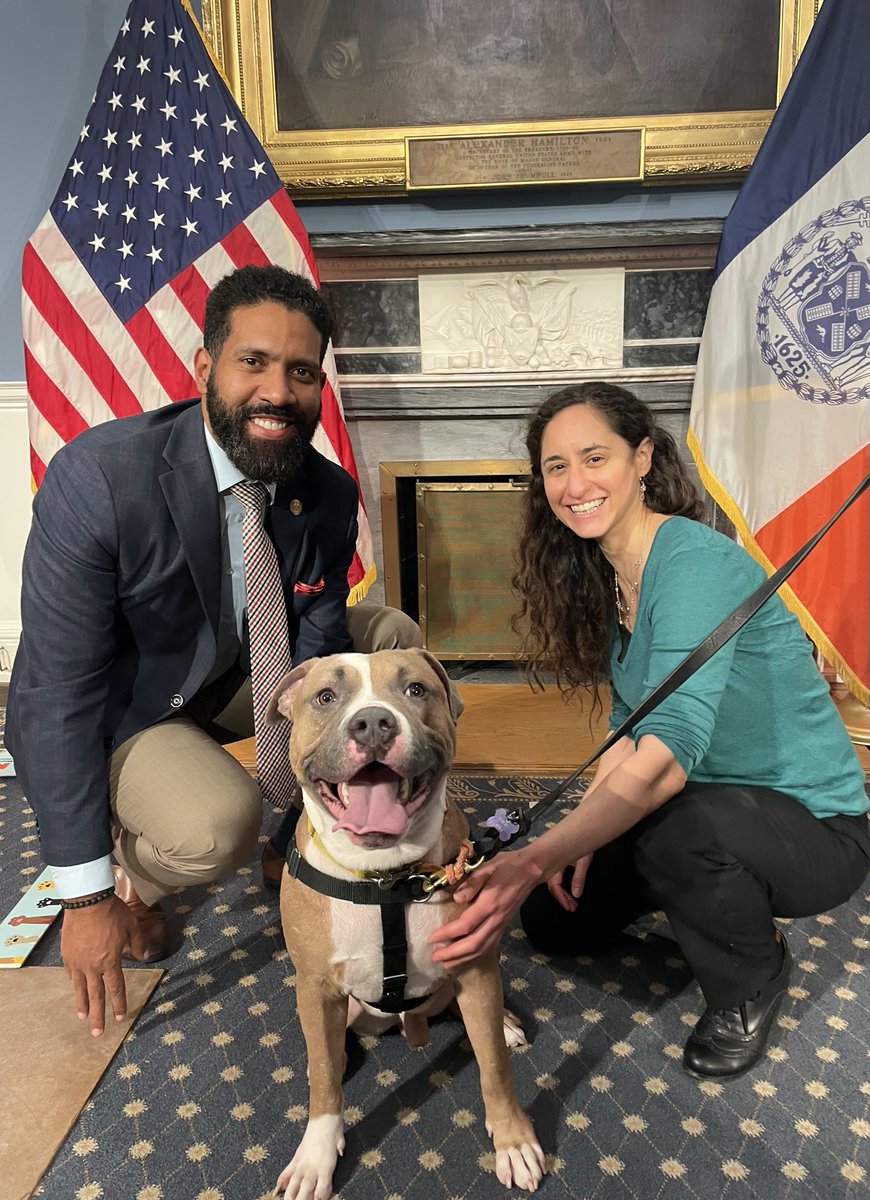 Teaming up with Alexandria Silver, Director of the Mayor’s Office of Animal Care, on Adopt a Dog at City Hall Day! 🐾 Meet Strawberry, a sweet pup looking for his forever home. #AdoptDontShop #NYCcares