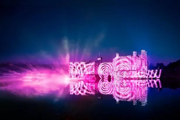 Bernard Donoghue tweet media