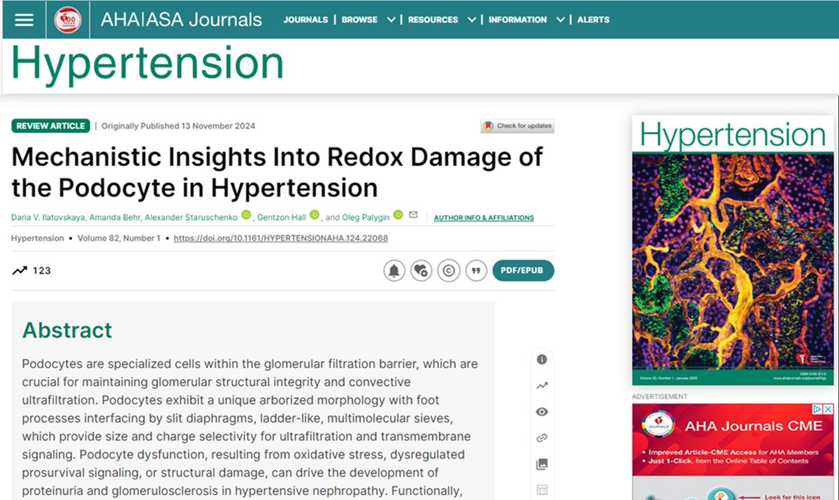 Oleg Palygin (@opalygin) on Twitter photo Our new publication in <a href="/HyperAHA/">Hypertension</a> with cover image <a href="/Renal_Phys/">Daria Ilatovskaya</a> <a href="/staruschenko/">Alexander Staruschenko</a> <a href="/DukeKidney/">Duke Kidney</a> ahajournals.org/doi/10.1161/HY… Our new publication in <a href="/HyperAHA/">Hypertension</a> with cover image <a href="/Renal_Phys/">Daria Ilatovskaya</a> <a href="/staruschenko/">Alexander Staruschenko</a> <a href="/DukeKidney/">Duke Kidney</a> ahajournals.org/doi/10.1161/HY…