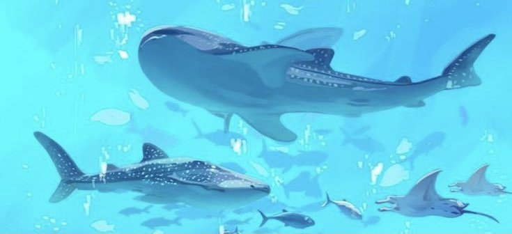 epocadeluna's tweet photo. ㅤ░﹕🐬﹐¿Cuáles son mis bloqueos
ㅤㅤㅤㅤㅤㅤㅤpara avanzar? ﹒ılıl﹐ᶻz
ㅤㅤㅤ ( Géminis, Virgo, Sagitario, Piscis )
ㅤㅤㅤㅤㅤ Mutables ㅤ #tarottwt https://t.co/CjE8ebqzhm