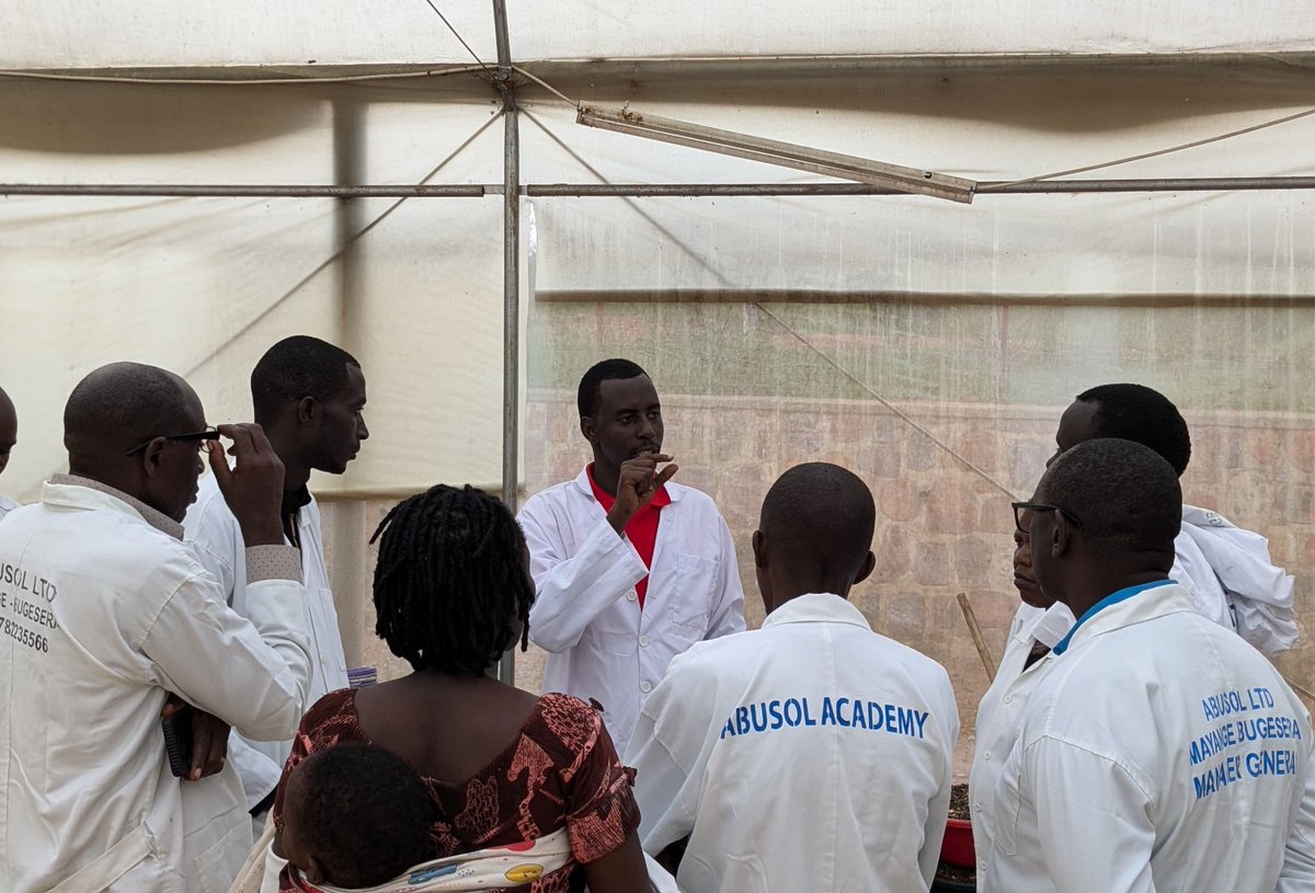 p_dusabimana's tweet photo. First day of the Poultry Business Tour organized by @FeedtheFuture Rwanda @OroraWihaze ended with the Trip to @Abusolltd Farms located in Mayange Sector, @BugeseraDistr to gain insights on their production systems and witness the practical benefits of the best practices.

One of the interesting innovations at @Abusolltd is BSF Facility, which was built to find alternative protein sources for feed formulation. This technology is expected to minimize feed costs which accounts for most of total farm input costs while enhancing overall farm profitability.

As a well-established modern poultry farm, @Abusolltd has demonstrated the implementation of innovative poultry farming techniques, including rigorous biosecurity measures to minimize disease outbreaks, outstanding feed management and housing systems to maximize production.

The participants were eager to learn more as they equip themselves with practical strategies to revolutionize their poultry farms.

Let's look forward to further transferrable experience tomorrow in @KayonzaDistrict as we wrap up the tour. Stay tuned.

#ROWImpact #OroraWihaze #Poultry #Agribusiness