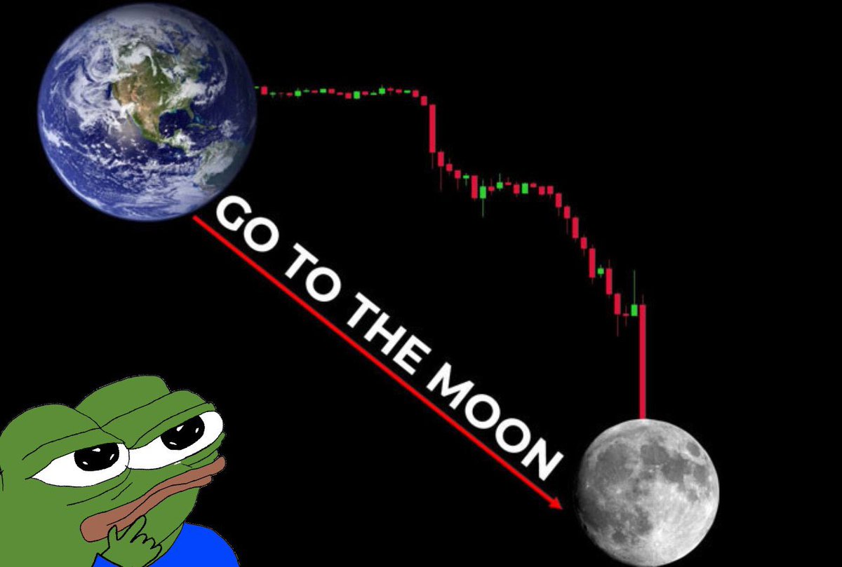 cryptaveli's tweet image. 