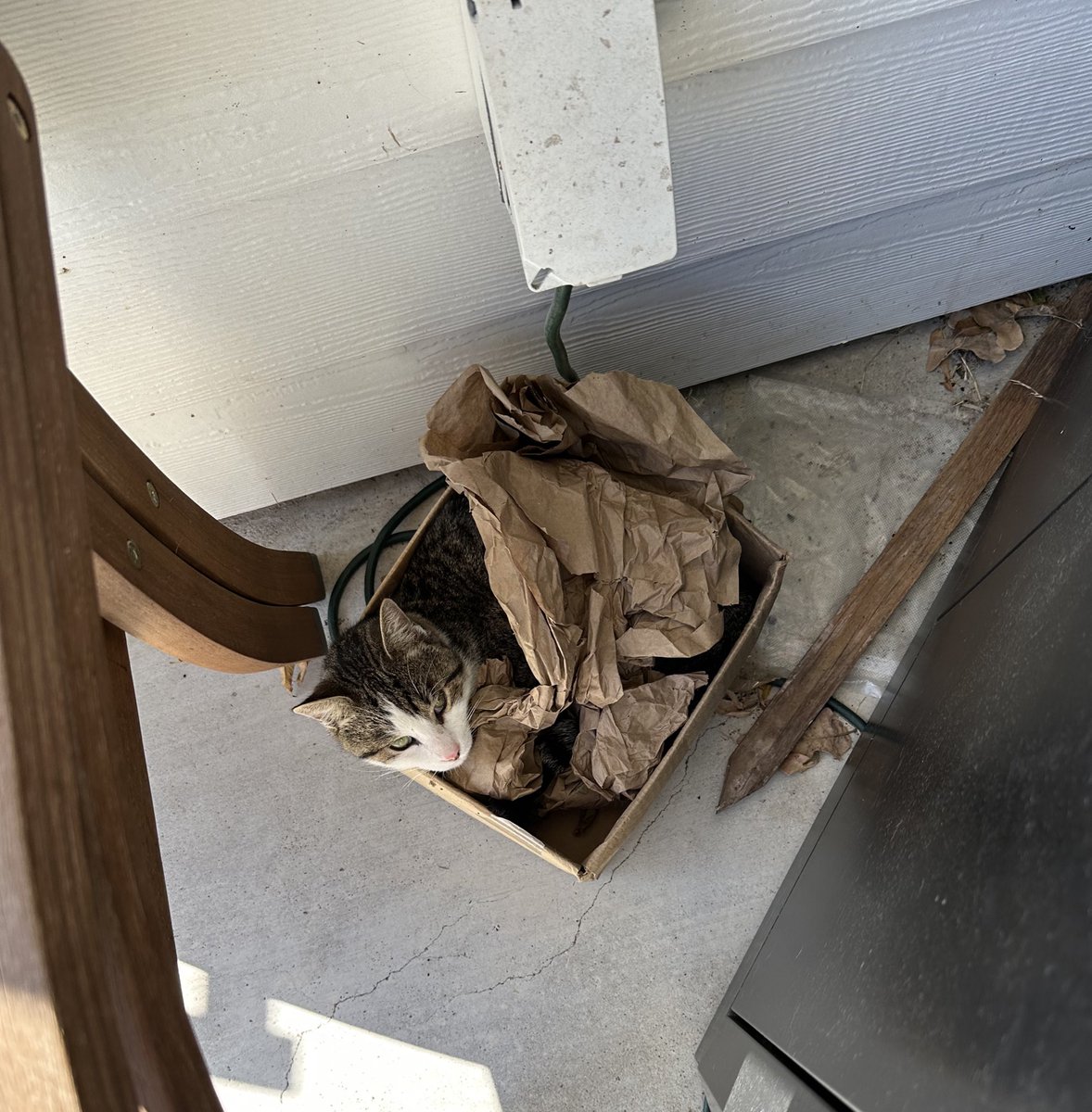 Tessa Kriesel tweet media