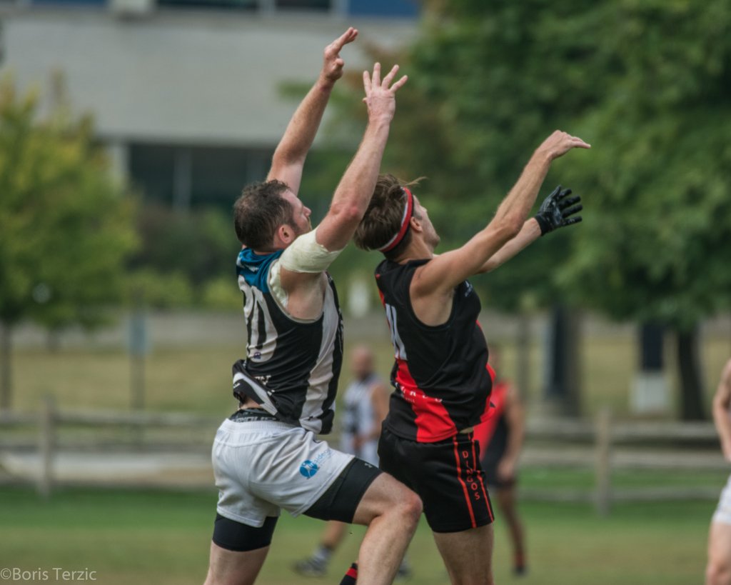 Rebels 2024 Grand Final Victory - Happy Holidays to our friends, family, players and supporters. What another fantastic year.
pitchero.com/clubs/rebelsto…