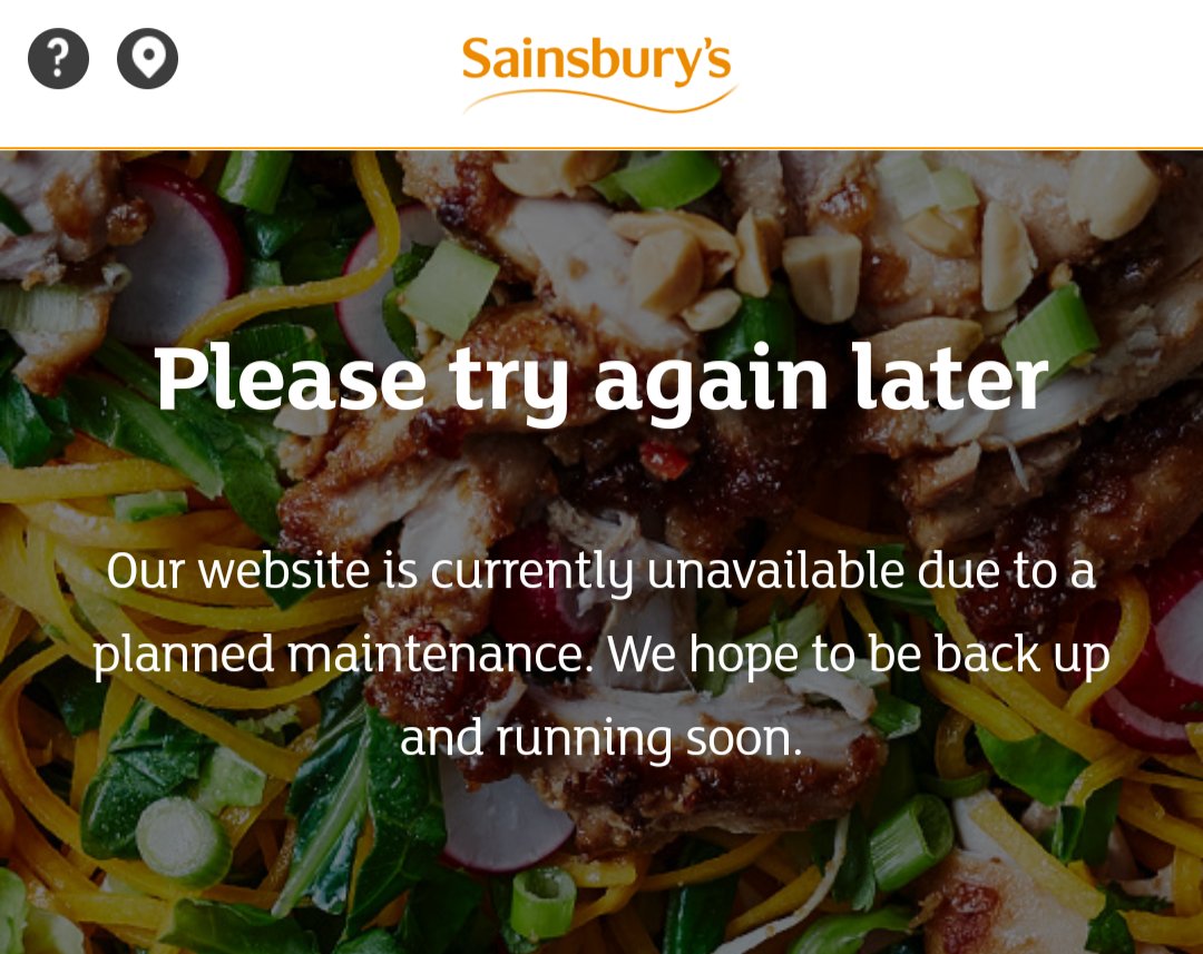 Maya the Bee 🐝 tweet media