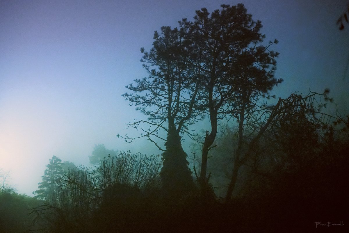 Atmospherics tweet media