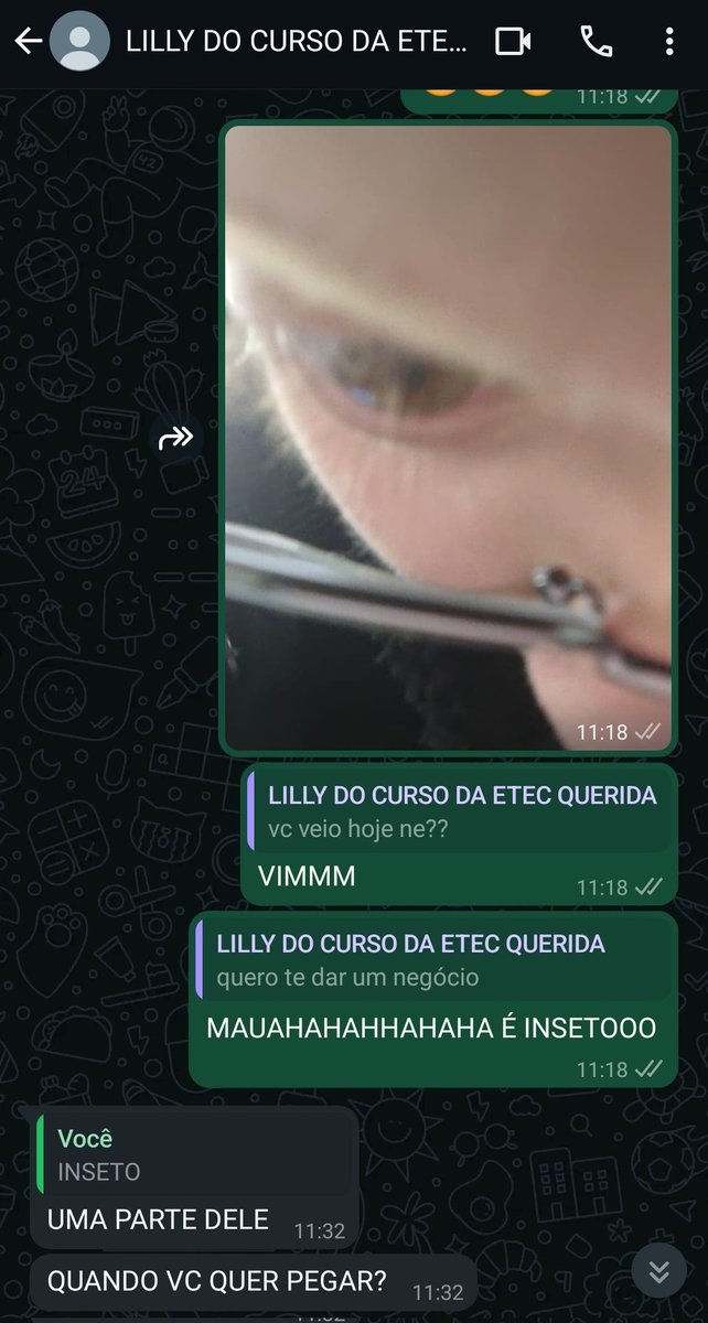 pov: vc tem amigos que te dão insetos de presente:
