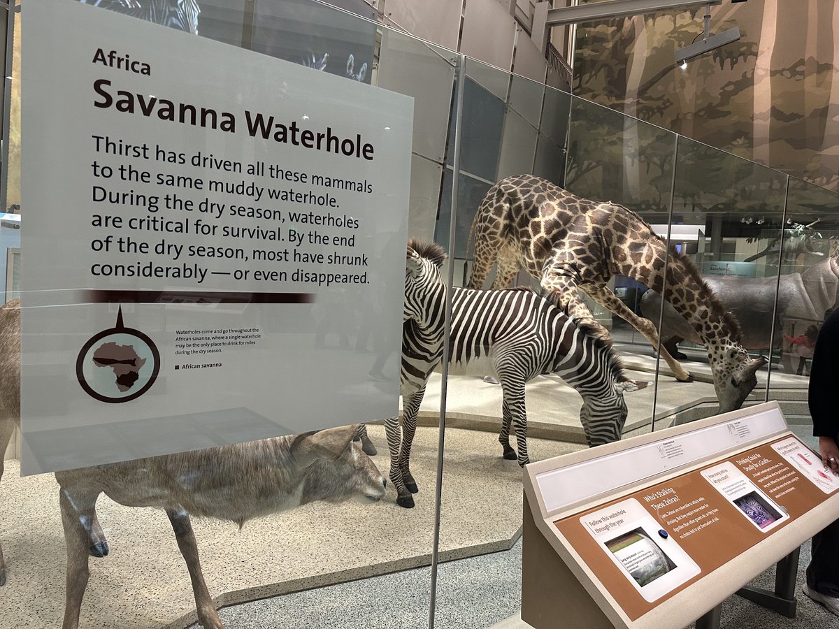 This is not what <a href="/Miles_DF/">Miles-DF</a> led me to believe it would look like…