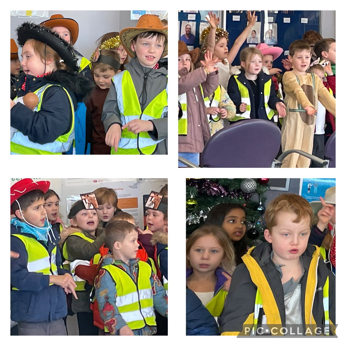 thingwallprima1's tweet photo. 💙💛Years 1&2 enjoyed singing Nativity songs from their performance of the Prickly Hay today, at the West Wirral GP Surgery. We hope we brightened up your day! @OakTreesMAT @NHSEngland #TPSmusic #TPScollaboration #TPSexpression #TPScitizenship 💛💙 https://t.co/htEaSpXBBH