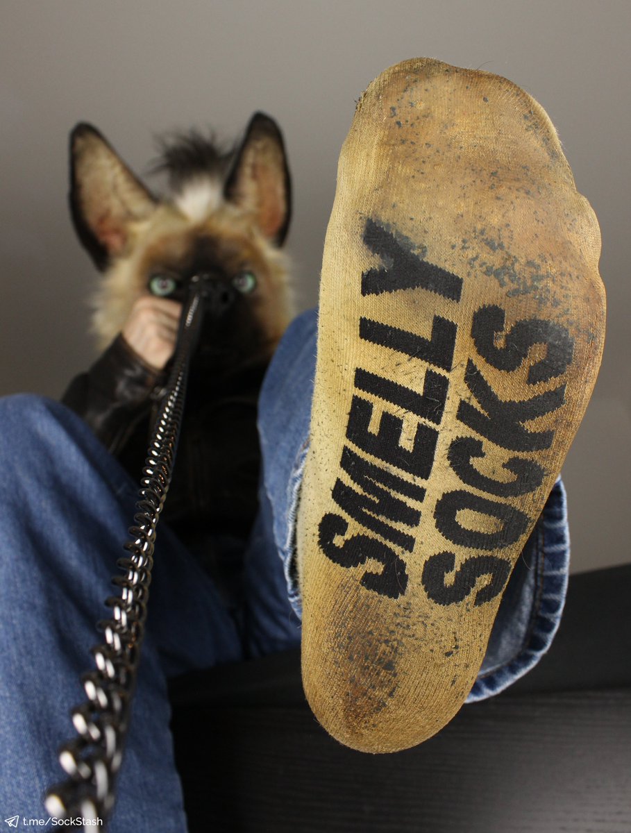 Yeah, those socks have gotten quite spicy.
And unruly little pets that don't follow their orders are put on a leash. Easy as that.

Now, you can stuff your face into that reeking sock on your own or I'll just give you a nice little tug to help grind that stink in properly ~