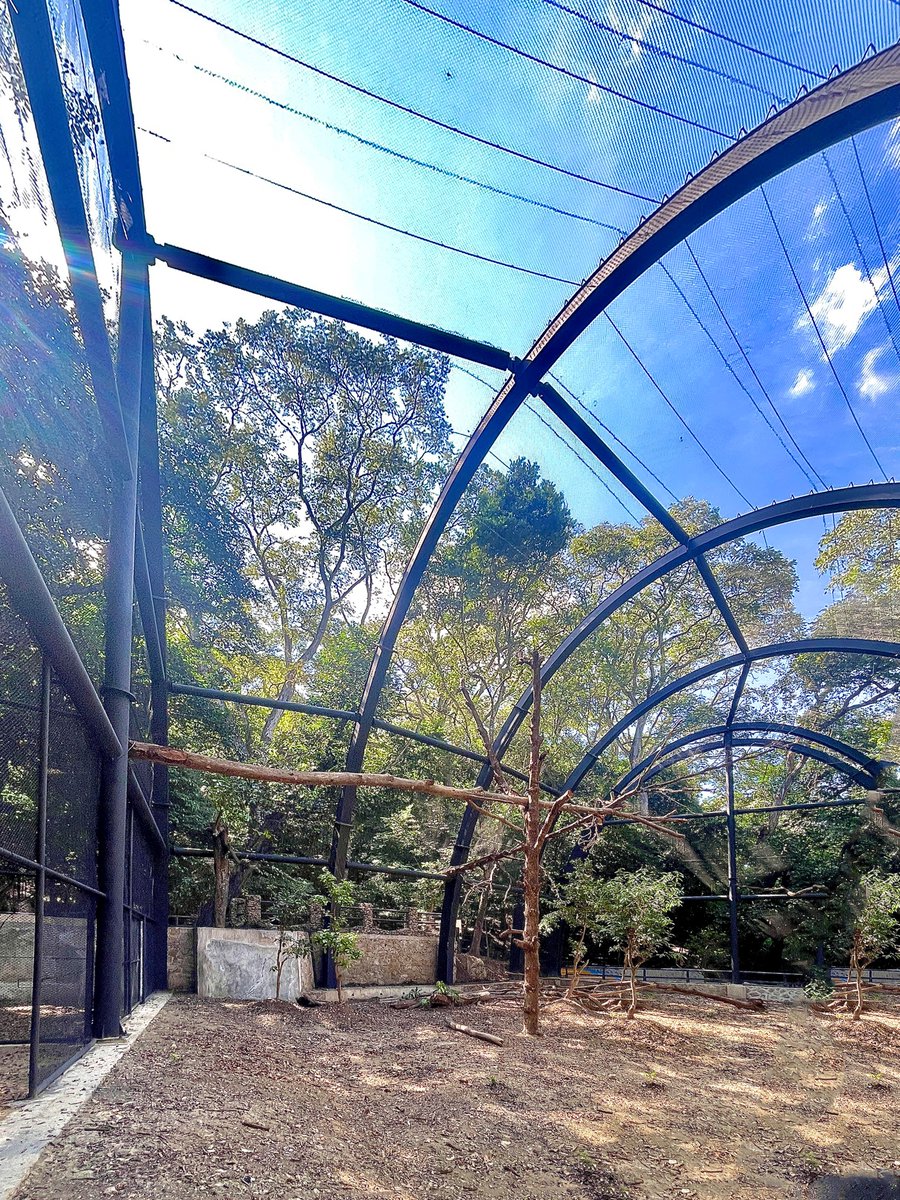 #Obras
Recinto para águilas #harpía.
Recinto para aves, #Zoo Miguel Álvarez del Toro en #Chiapas. 

1) Vista principal.
2) Vista interior.

Promotor: <a href="/zoomat/">ZOOMAT Chiapas</a> <a href="/SemahnChiapas/">SEMAHN CHIAPAS</a> <a href="/ObrasPublicasCS/">Secretaría de Infraestructura Chiapas</a>

<a href="/Sectur_Chiapas/">Turismo Chiapas</a> <a href="/SECTUR_mx/">SECTUR México</a>
#ZooMAT #Zoológico
#Arquitectura #Architecture
#REArquitectos