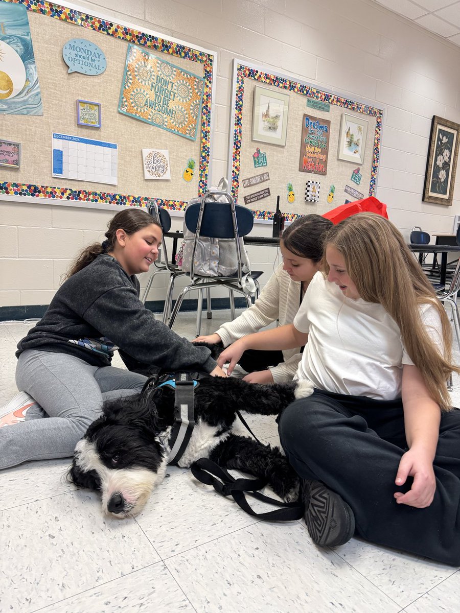 Archie THE Therapy Dog tweet media