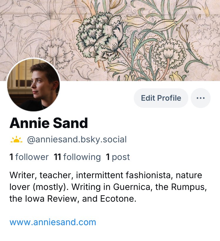 AnnieSandWriter's tweet photo. I don’t like this space anymore but I like you guys! I’ll try to find you in 🟦 https://t.co/XJaEubMWJr