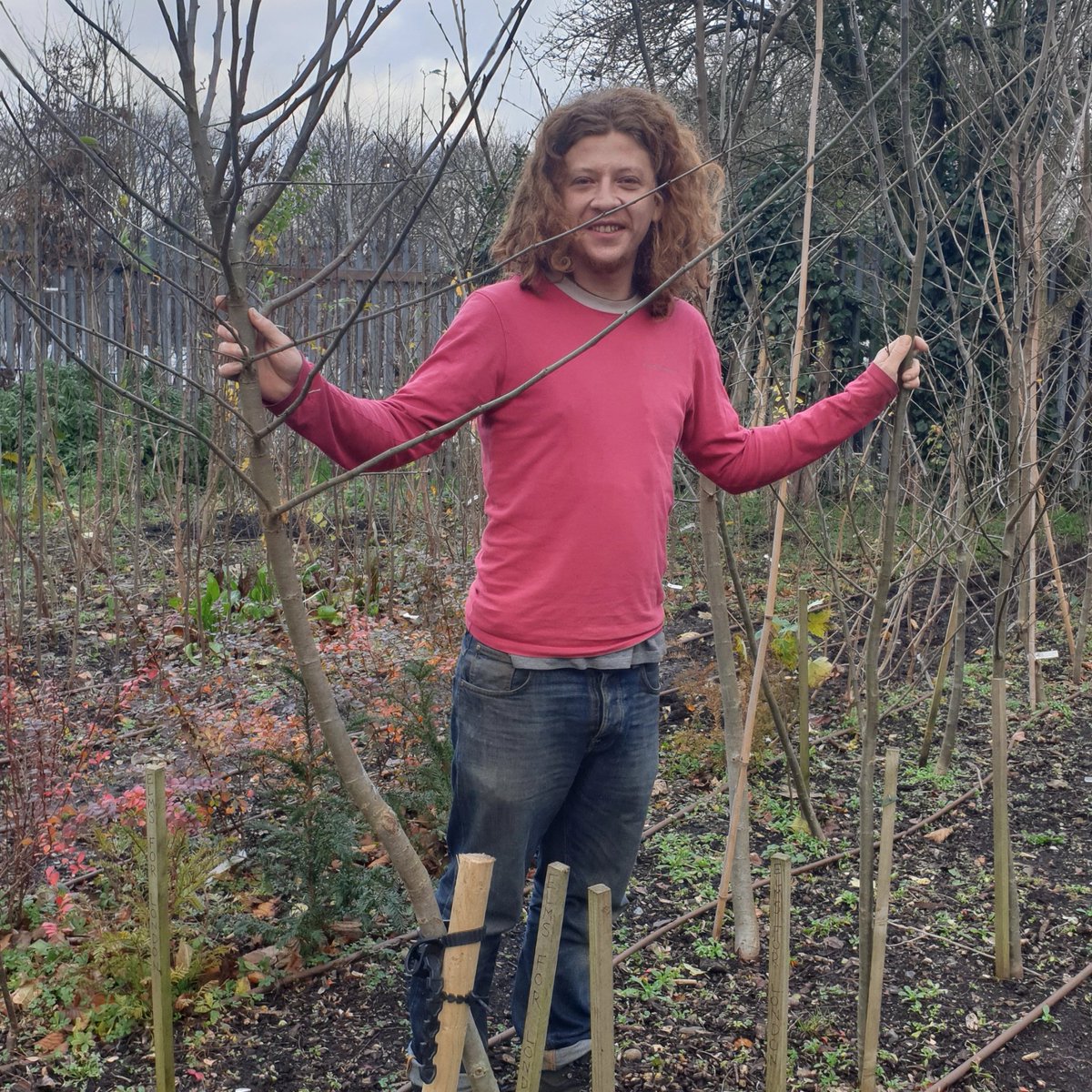 The MPGA Elms4London Campaign is progressing well with almost three quarters of the tree stock already allocated. This means we still have 50 elm trees. Applications should be made via the email address on the website, elms4london.org.uk, before the January 10th 2025.