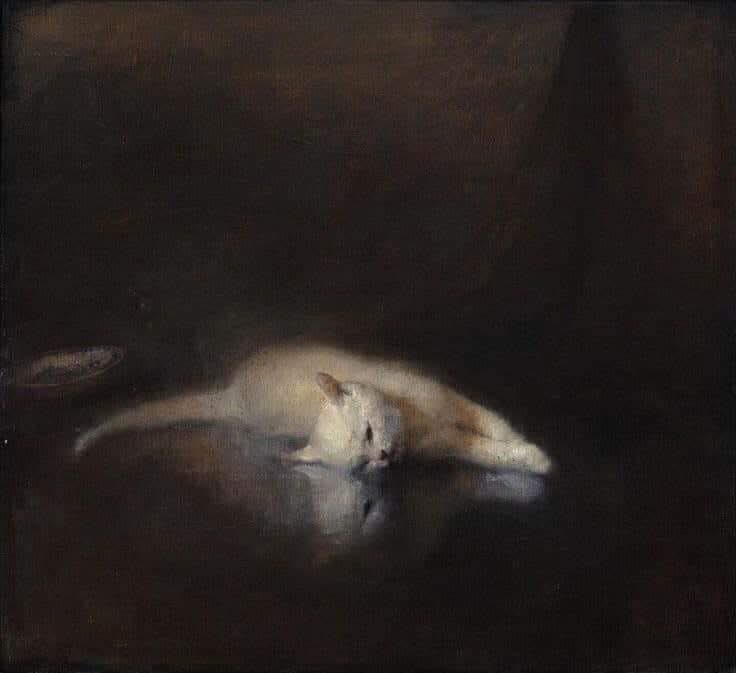 Obra: Gato sin aguinaldo.
Técnica: Oleo.