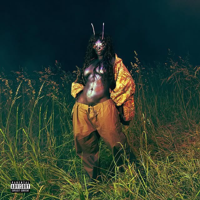 🚨POP EMERGENCY: SZA divulga a capa oficial de “LANA”, álbum deluxe do consagrado “SOS”. O disco chega em todas as plataformas digitais nessa próxima sexta-feira (20). Prontos?