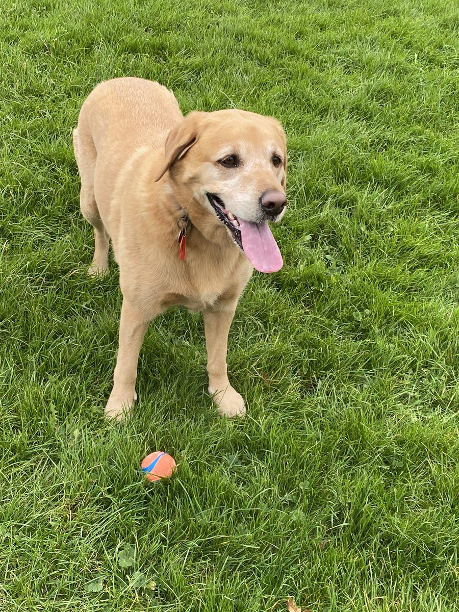 MeJacway's tweet photo. @Bixby00378599 Although she’s a girl, she’s well named after this one 🤣 https://t.co/8jWIEcBYhL