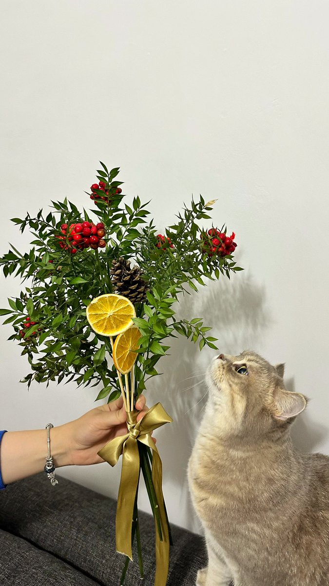 Melisa Kalmış tweet media