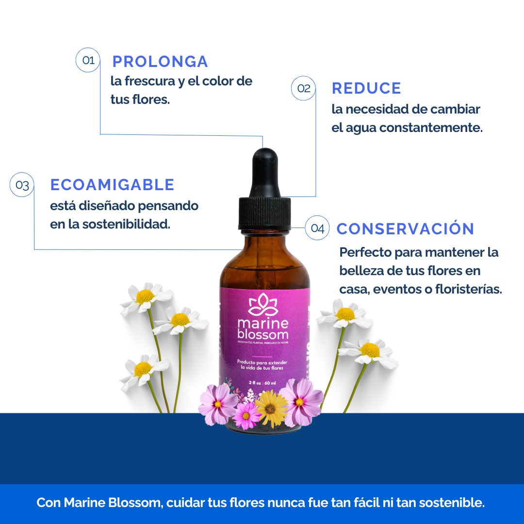 SOS_Biotech's tweet photo. ¡Dale vida a tus flores con Marine Blossom! 

Mantén tus flores frescas y vibrantes por más tiempo con nuestro preservante natural hecho a base de algas marinas. 🌊✨
✅ Prolonga su frescura y color.
✅ Reduce cambios constantes de agua.
✅ Es sostenible y ecoamigable.

#BlueTech https://t.co/Keq6U17tF5