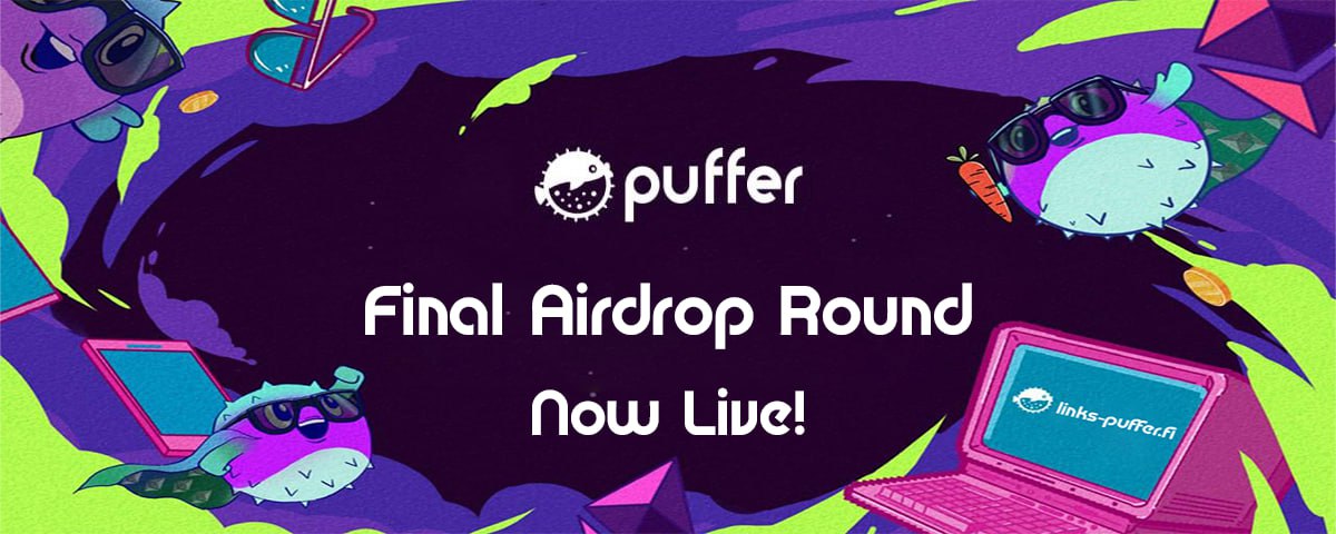 Puffer Updates (@PufferUpdates) / Posts / X