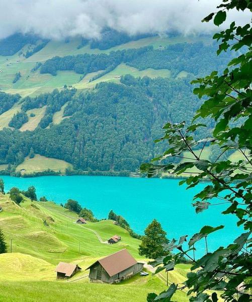 Swiss Nature (@natureswiss) on Twitter photo 